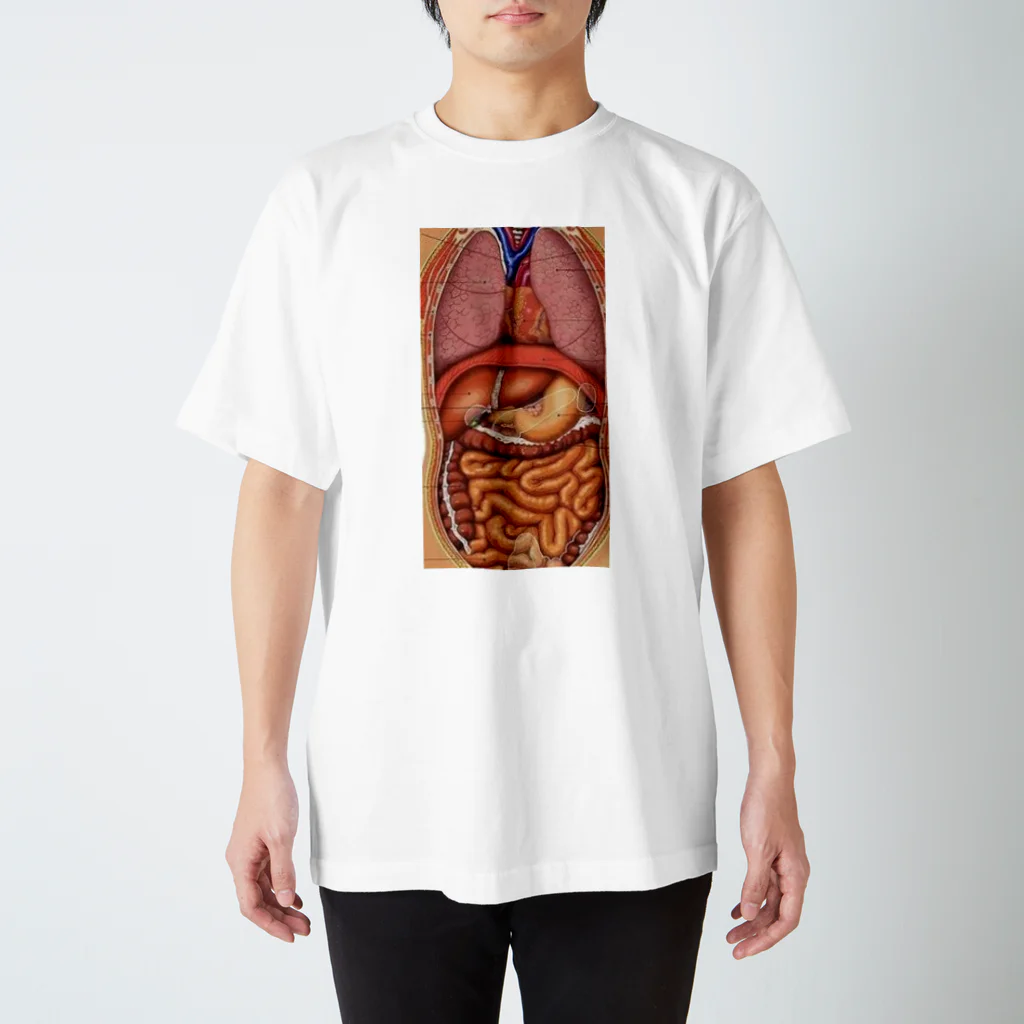 Liarのmodel of the human body  スタンダードTシャツ