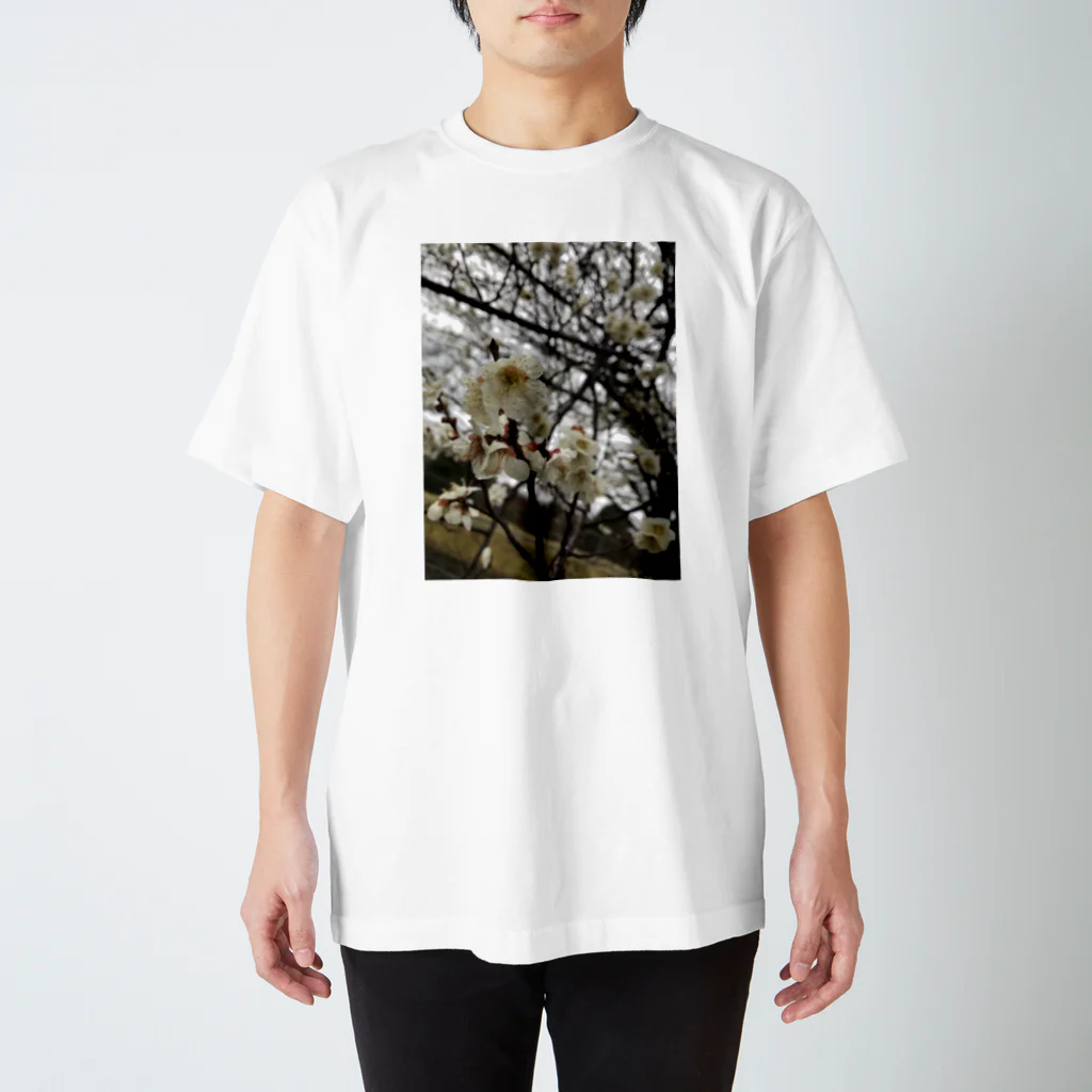 モンずのぼくのいえの花2 スタンダードTシャツ