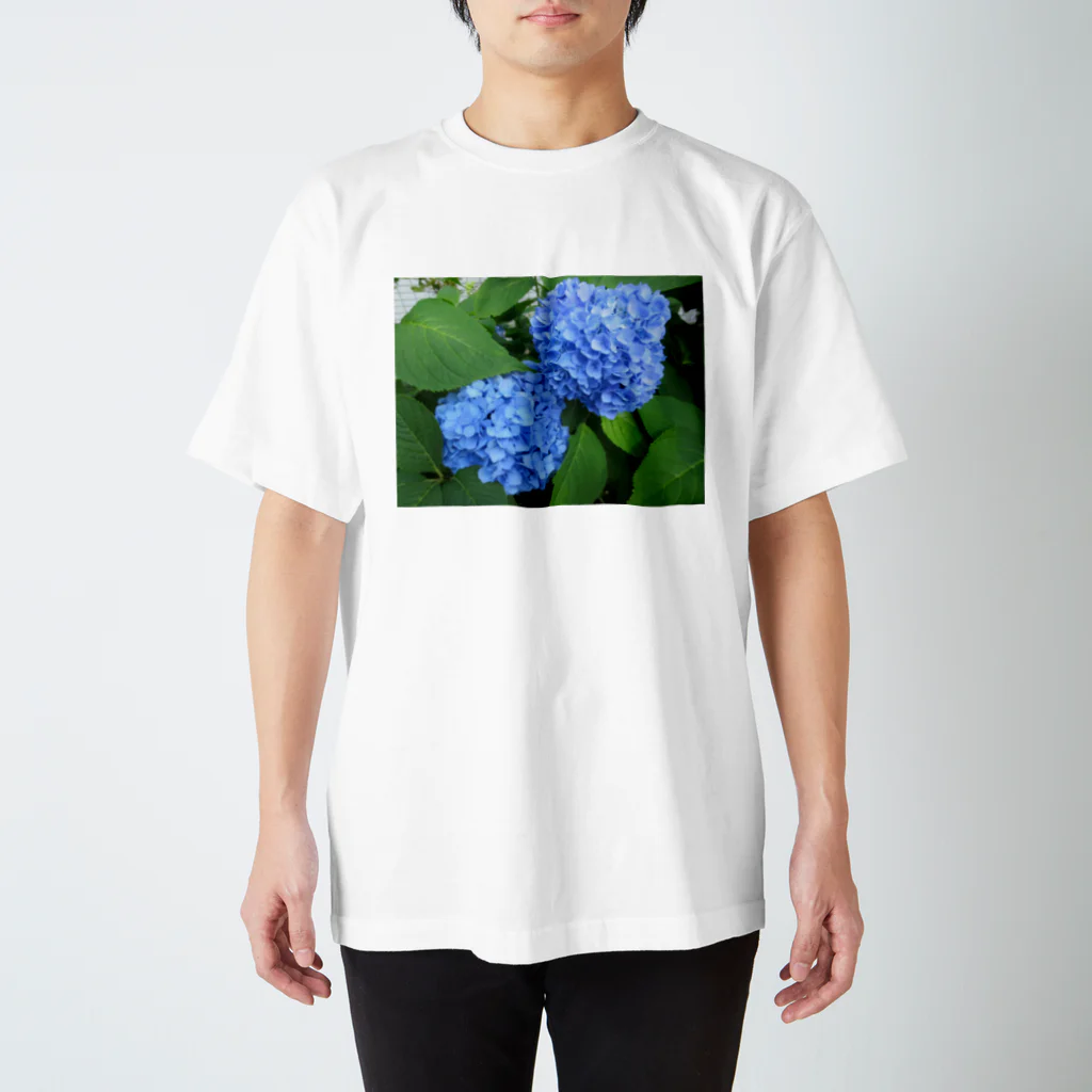 Dreamscape(LUNA)の露と空と結ぶ色 Regular Fit T-Shirt