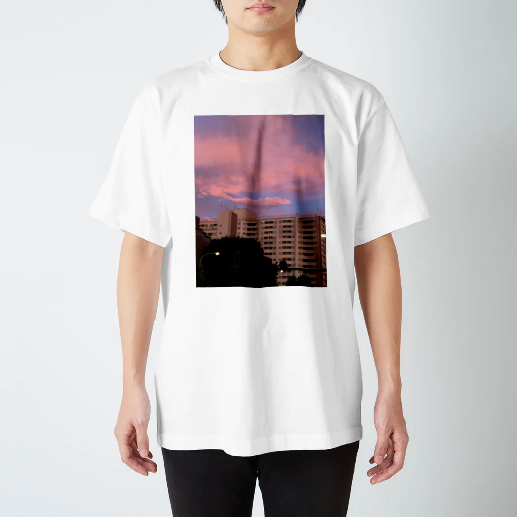 ン子の建築物 Regular Fit T-Shirt