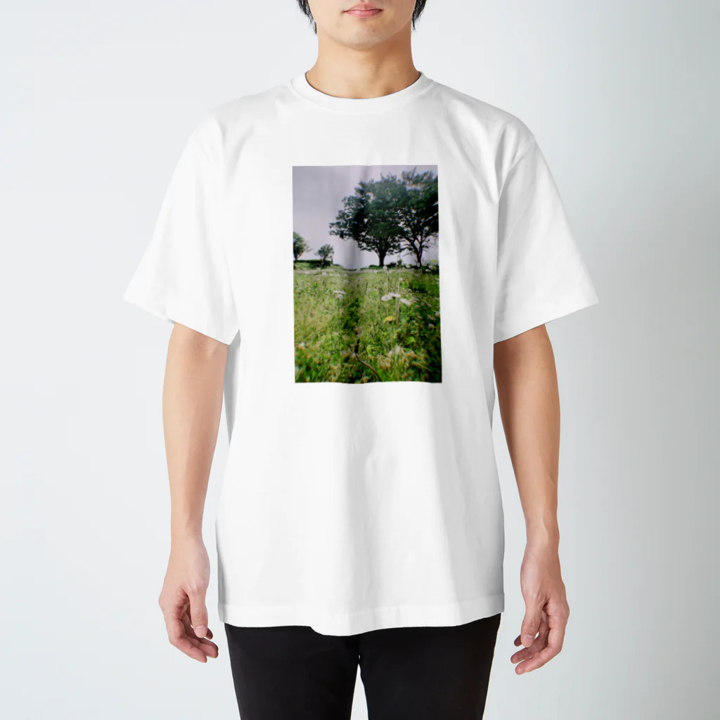 遺跡へ行きたいの釈迦堂遺跡 スタンダードTシャツ