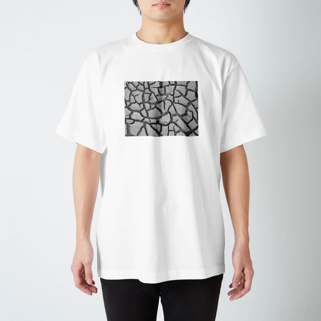 Waon123のひび Regular Fit T-Shirt