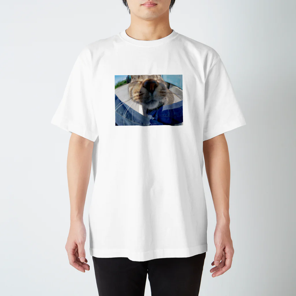 gamigami0829の魚眼越し猫ちゃん スタンダードTシャツ