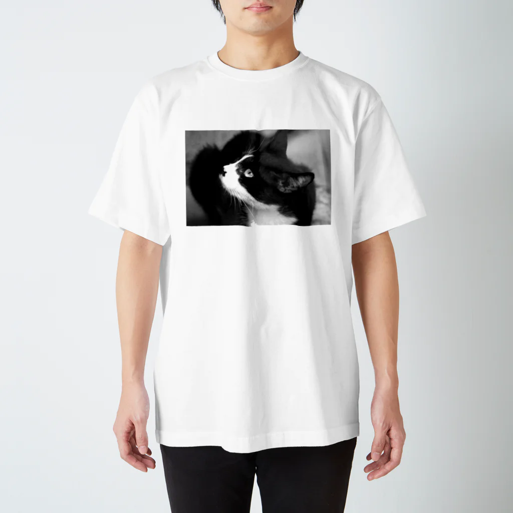 坂本の野良猫 スタンダードTシャツ