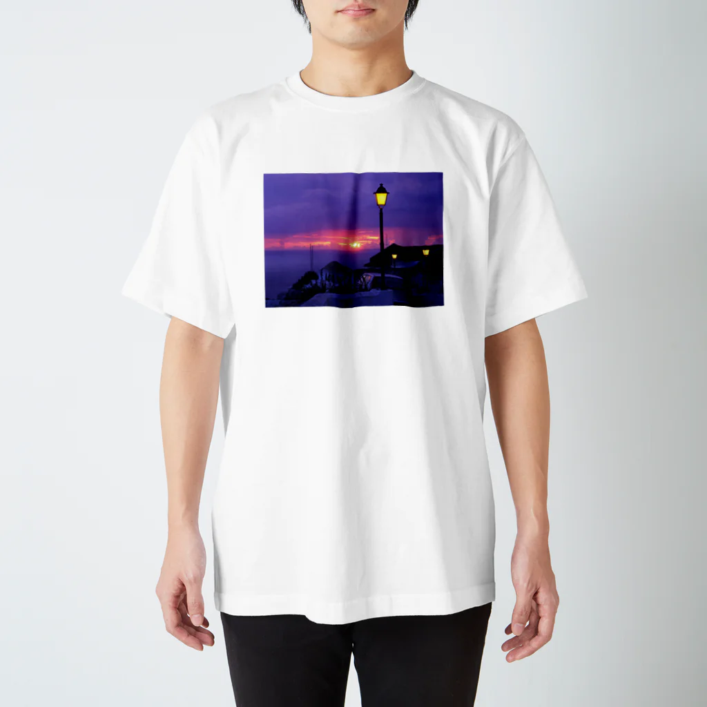 jikotashimayaのナザレの崖 スタンダードTシャツ