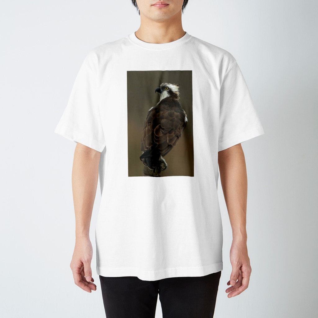 伊藤，ぬしのミサゴ Regular Fit T-Shirt