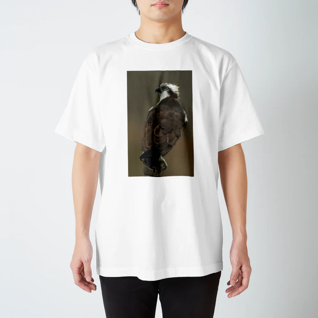 伊藤，ぬしのミサゴ スタンダードTシャツ