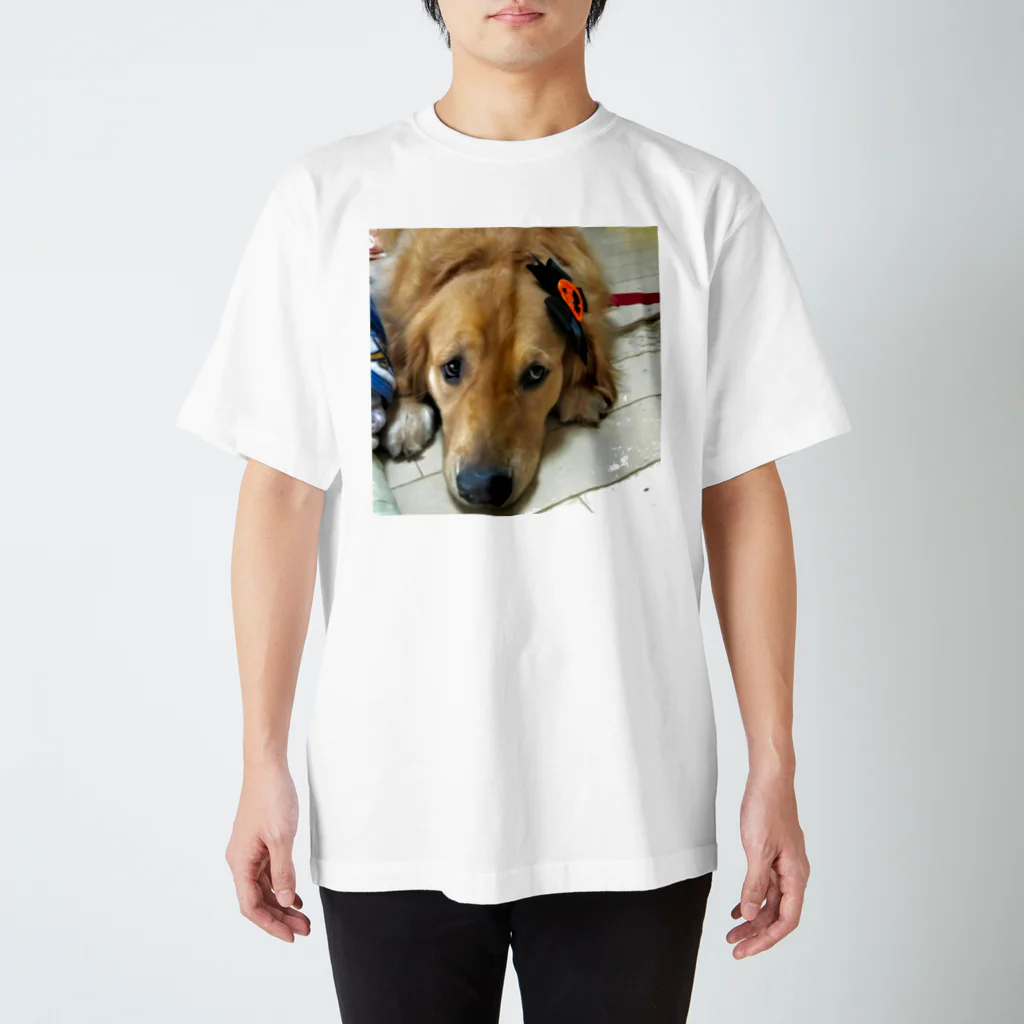 ヒガのジェロニモ Regular Fit T-Shirt