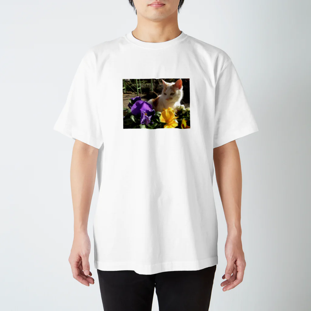 チャロスナのちゃろ Regular Fit T-Shirt
