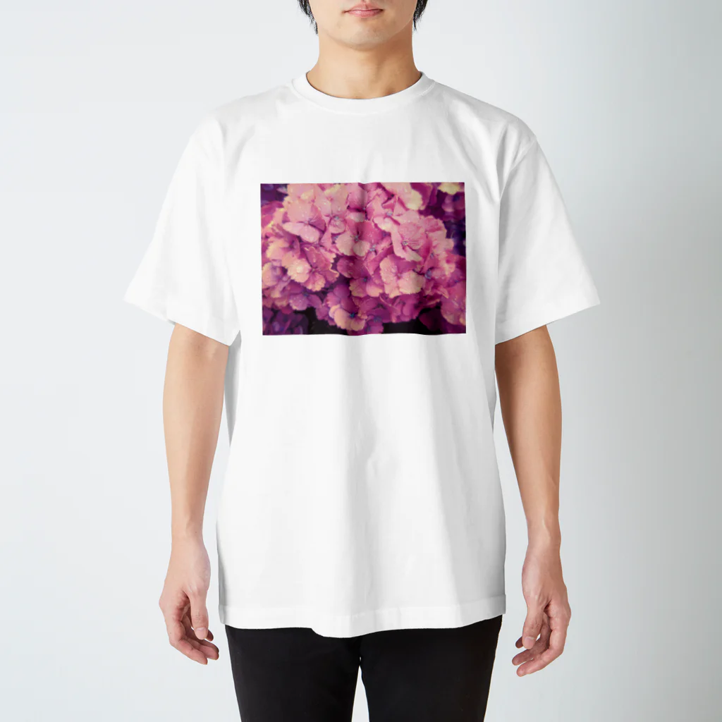 fakirの紫陽花 スタンダードTシャツ