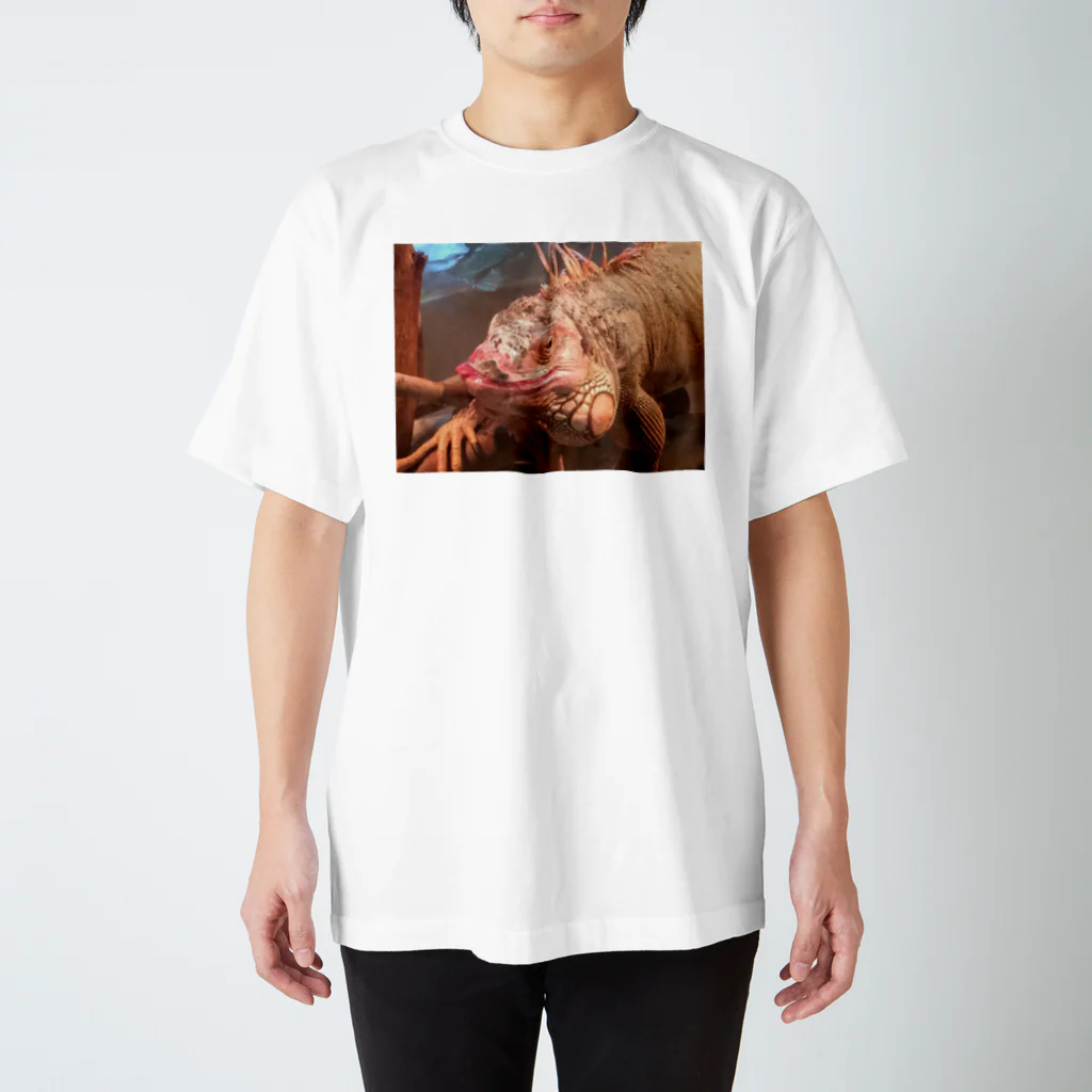 raika_studyingの休日の顔 Regular Fit T-Shirt