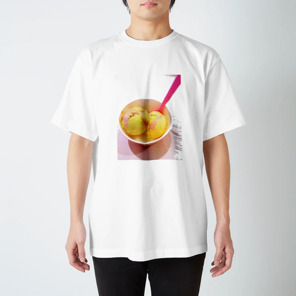 seascapeのDreem of ice スタンダードTシャツ