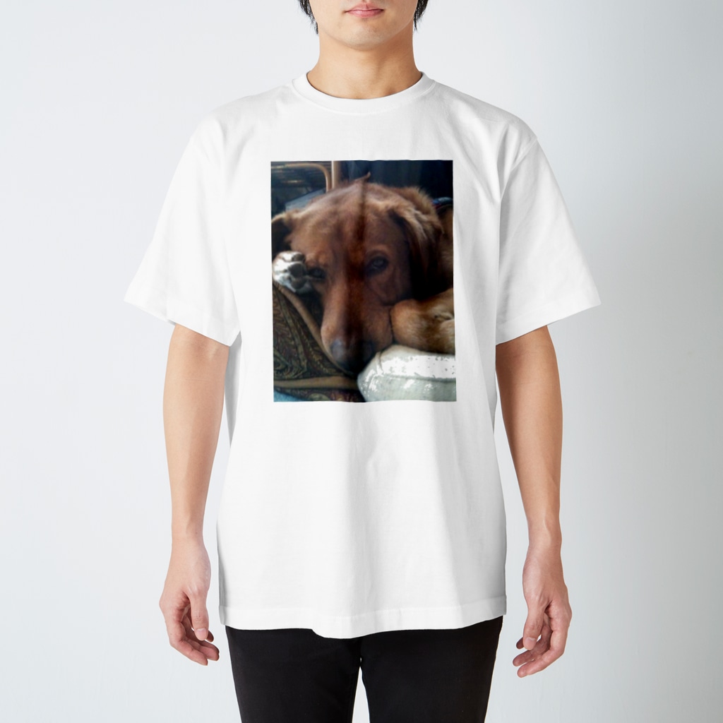 ビビり犬 ふ ちゃん アマリリスあっこ Ichigoako のスタンダードtシャツ通販 Suzuri スズリ
