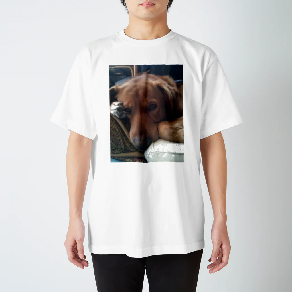 アマリリスあっこのビビり犬  ふ〜ちゃん Regular Fit T-Shirt