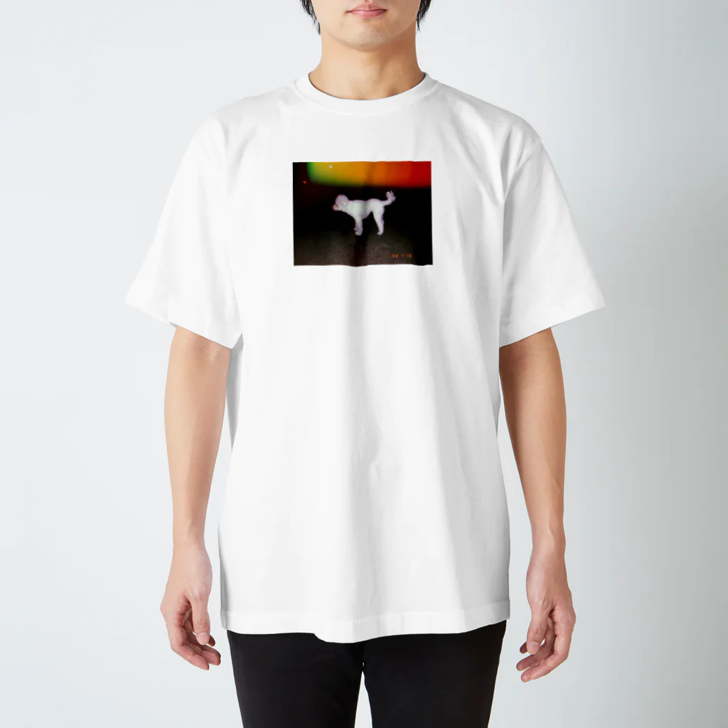 okuyamarketの愛犬 スタンダードTシャツ