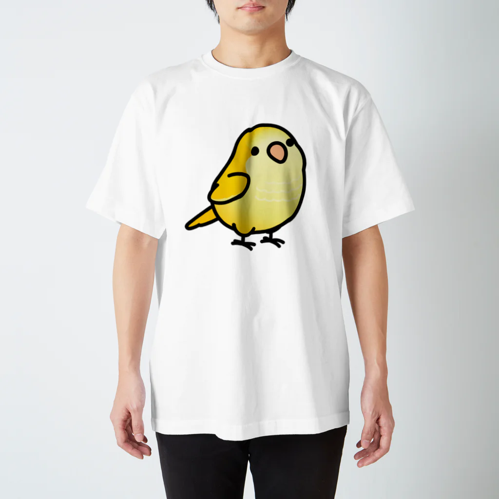 Cody the LovebirdのChubby Bird オキナインコ　イエロー Regular Fit T-Shirt