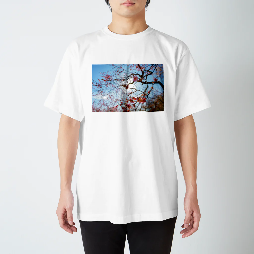 愚の骨頂の梅T Regular Fit T-Shirt