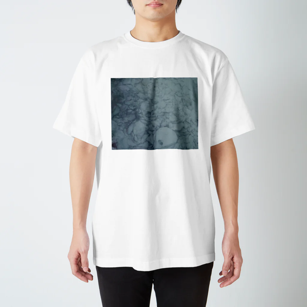 あーきぺらごarchipelagoの温泉析出物 スタンダードTシャツ