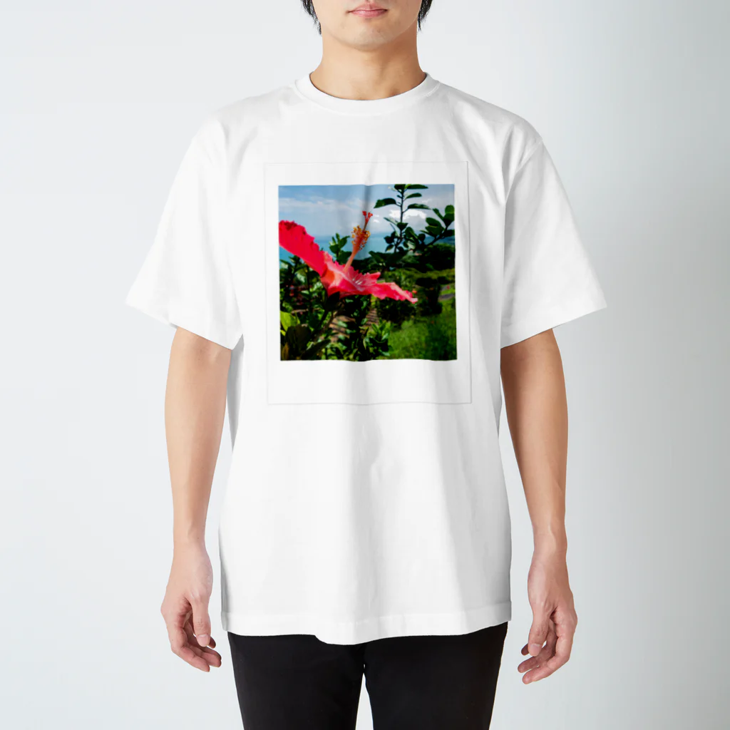 チェキTのHIBISCUS スタンダードTシャツ