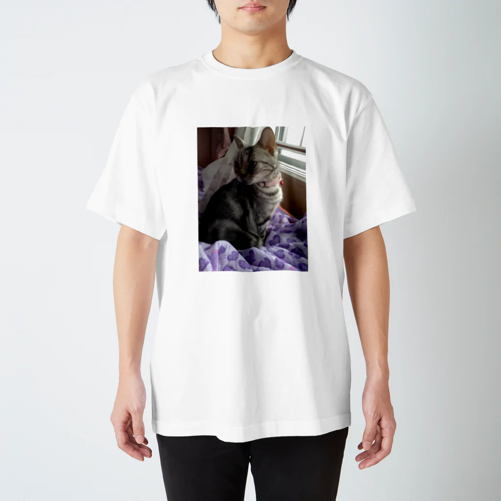 CarrieMomの見返り美猫キャリー1  スタンダードTシャツ