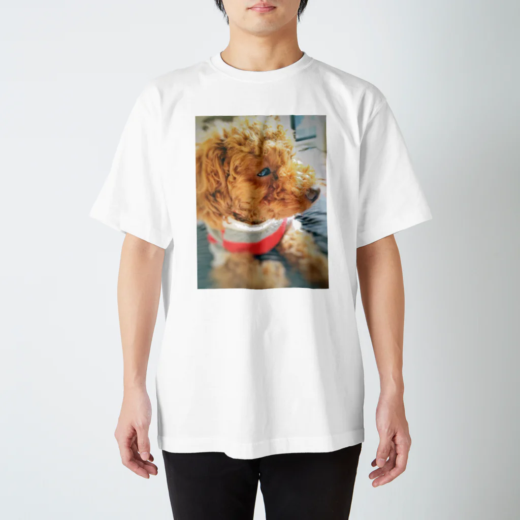 Happy Daysの木漏れ日の中の子犬 スタンダードTシャツ