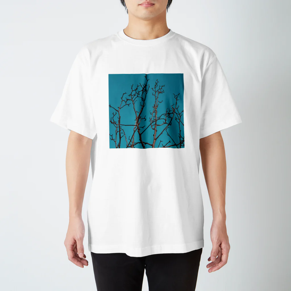 L_surrealのmokuren Regular Fit T-Shirt