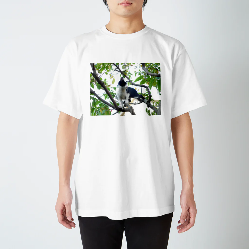 あすきなまこ の木登りミチザネ Regular Fit T-Shirt