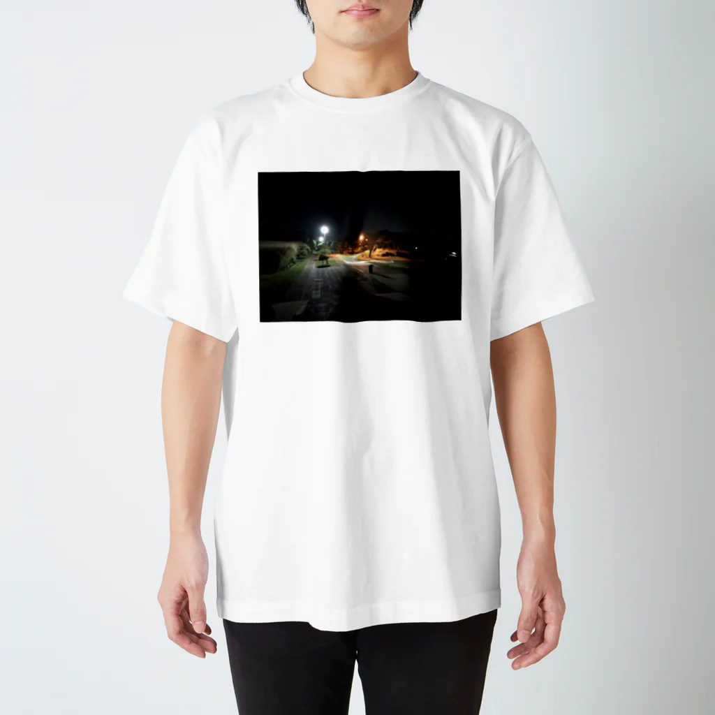 ほしの夜の城ヶ島 スタンダードTシャツ