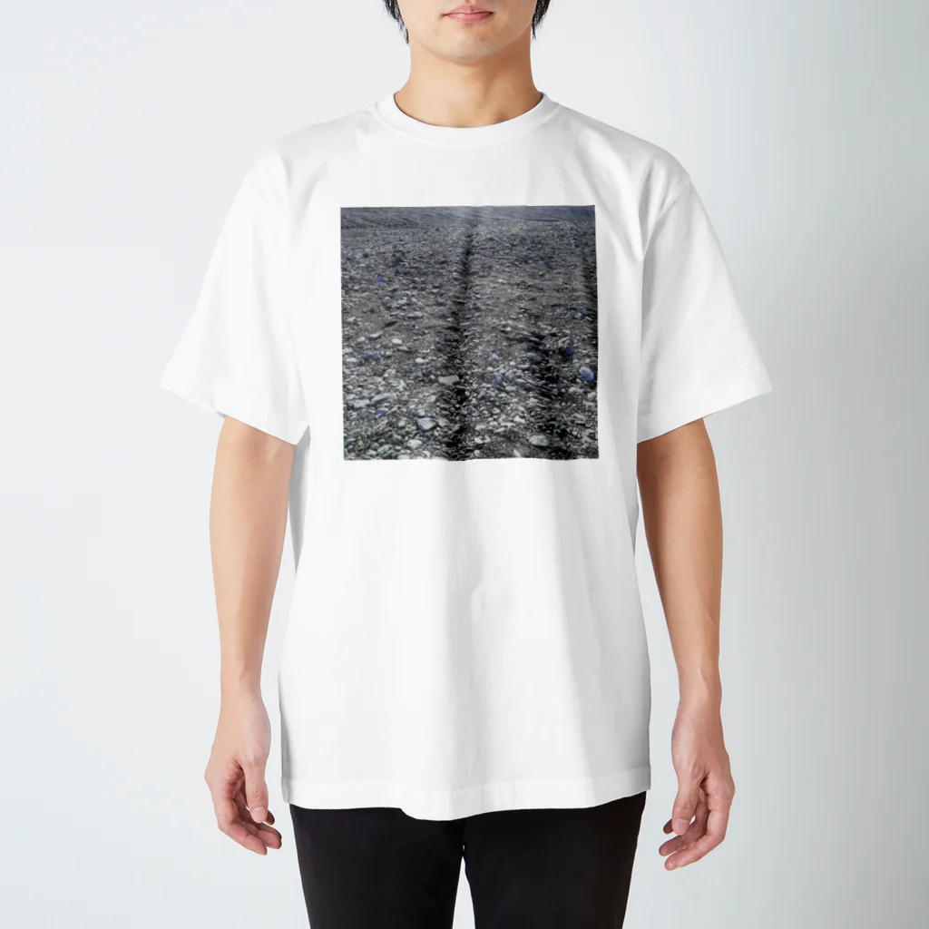 仏ライムの小石畳 Regular Fit T-Shirt