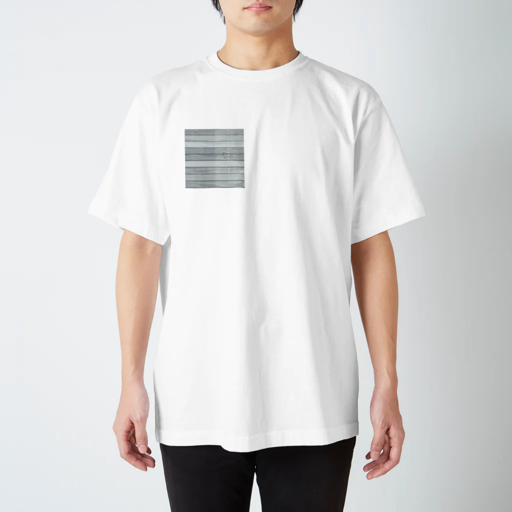 仏ライムのテラス Regular Fit T-Shirt