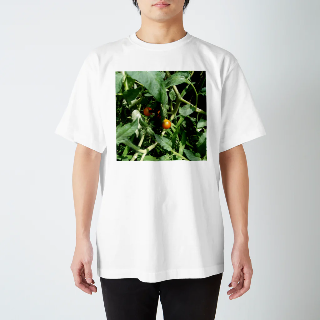 ＳＺＵＫＩの🍅 スタンダードTシャツ