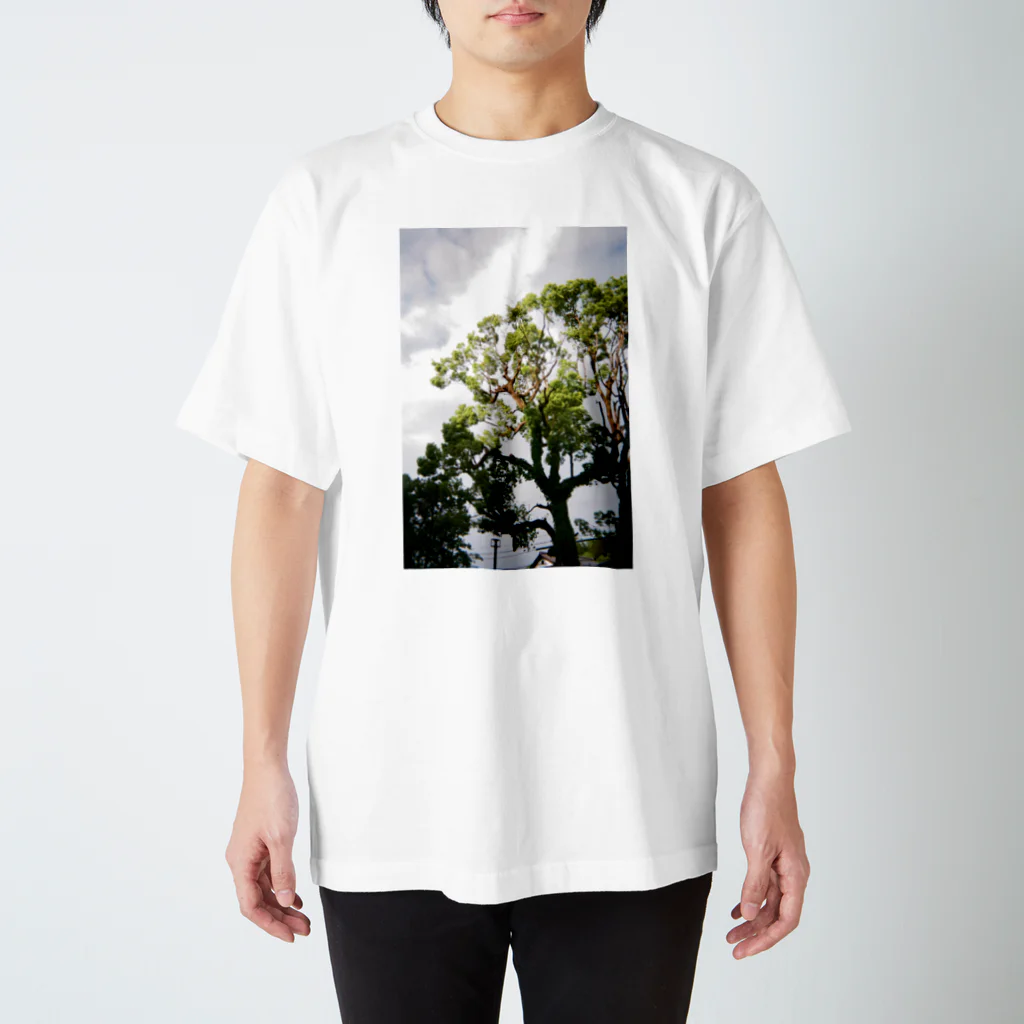 waa WORKSのtree スタンダードTシャツ