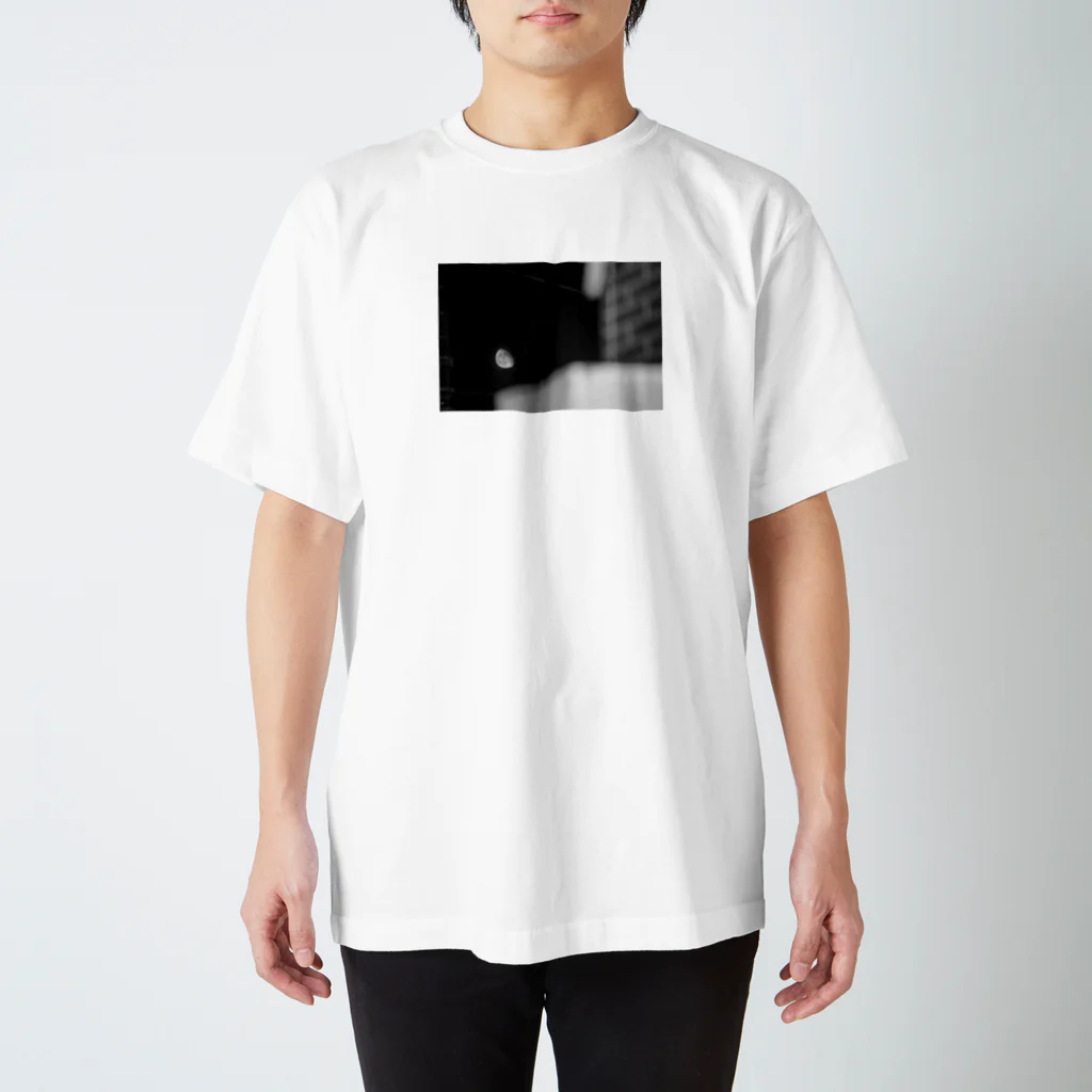 INURAKKOの家で撮ったお月 Regular Fit T-Shirt