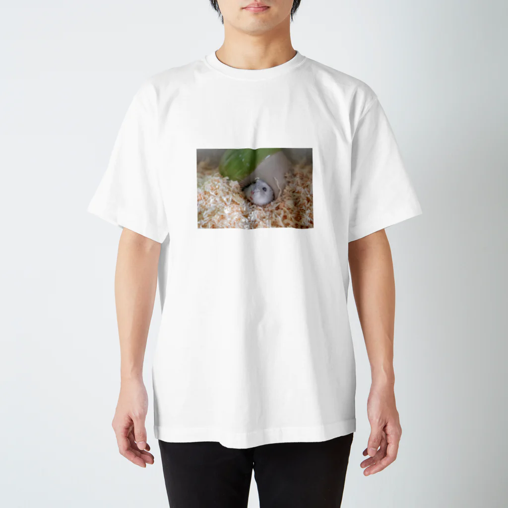 菫(スミレ)のクヌギくん01 Regular Fit T-Shirt