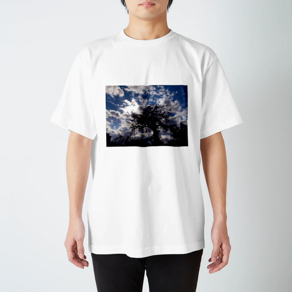 kagatoの桜[逆光] スタンダードTシャツ