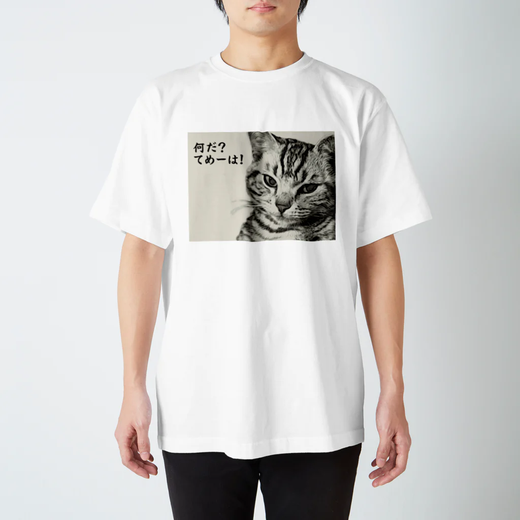 にゃんたみやのなんだてめーは！ Regular Fit T-Shirt