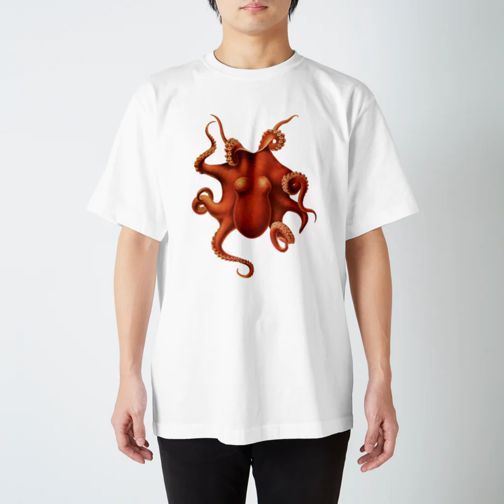 suess.のoctoct -Bilderbuch スタンダードTシャツ