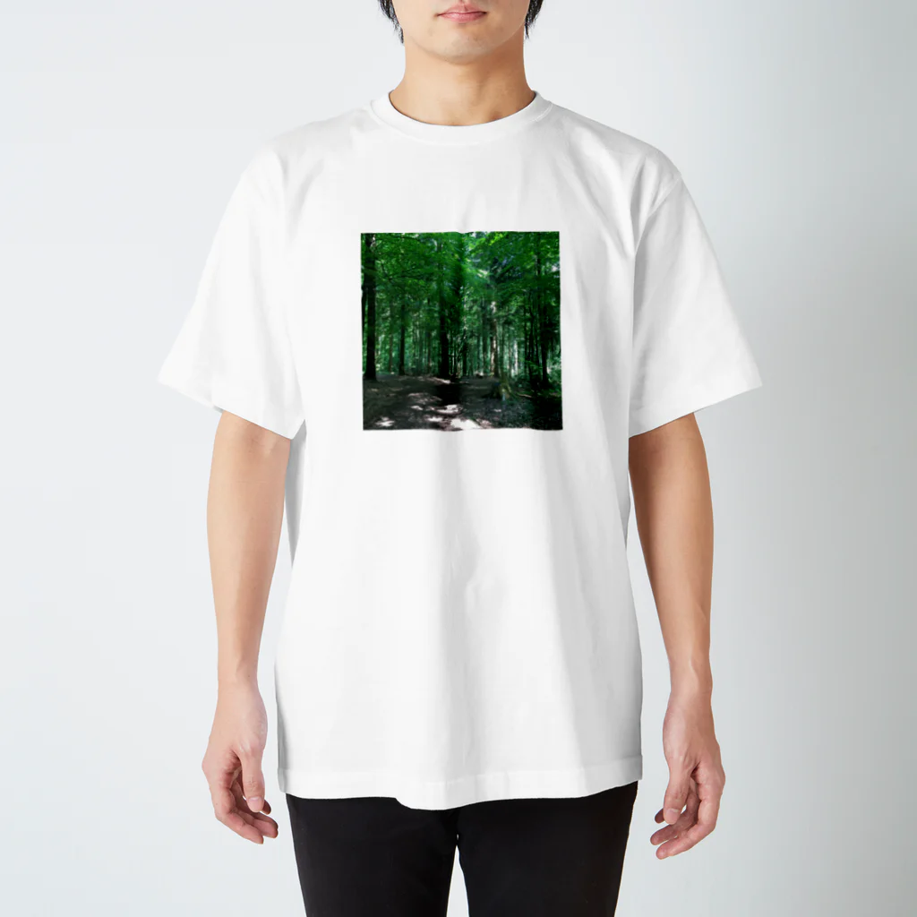 Hotateのeco 黒い森のなか Regular Fit T-Shirt