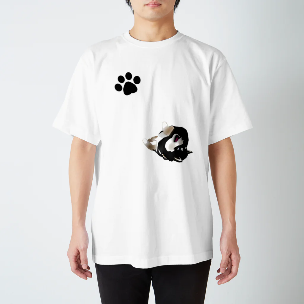 Ariroaの柴犬くん Regular Fit T-Shirt