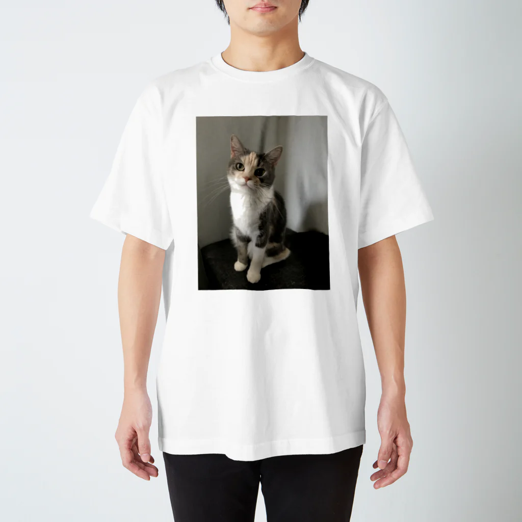 ネコまにあ 【12匹の猫➕うずら】のゆずちゃん Regular Fit T-Shirt