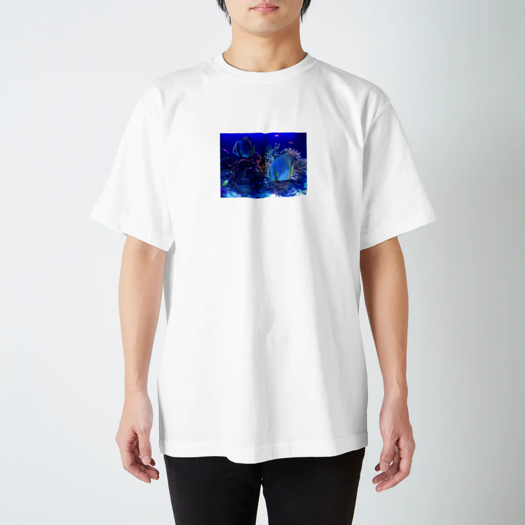 aoyoのおさかな スタンダードTシャツ