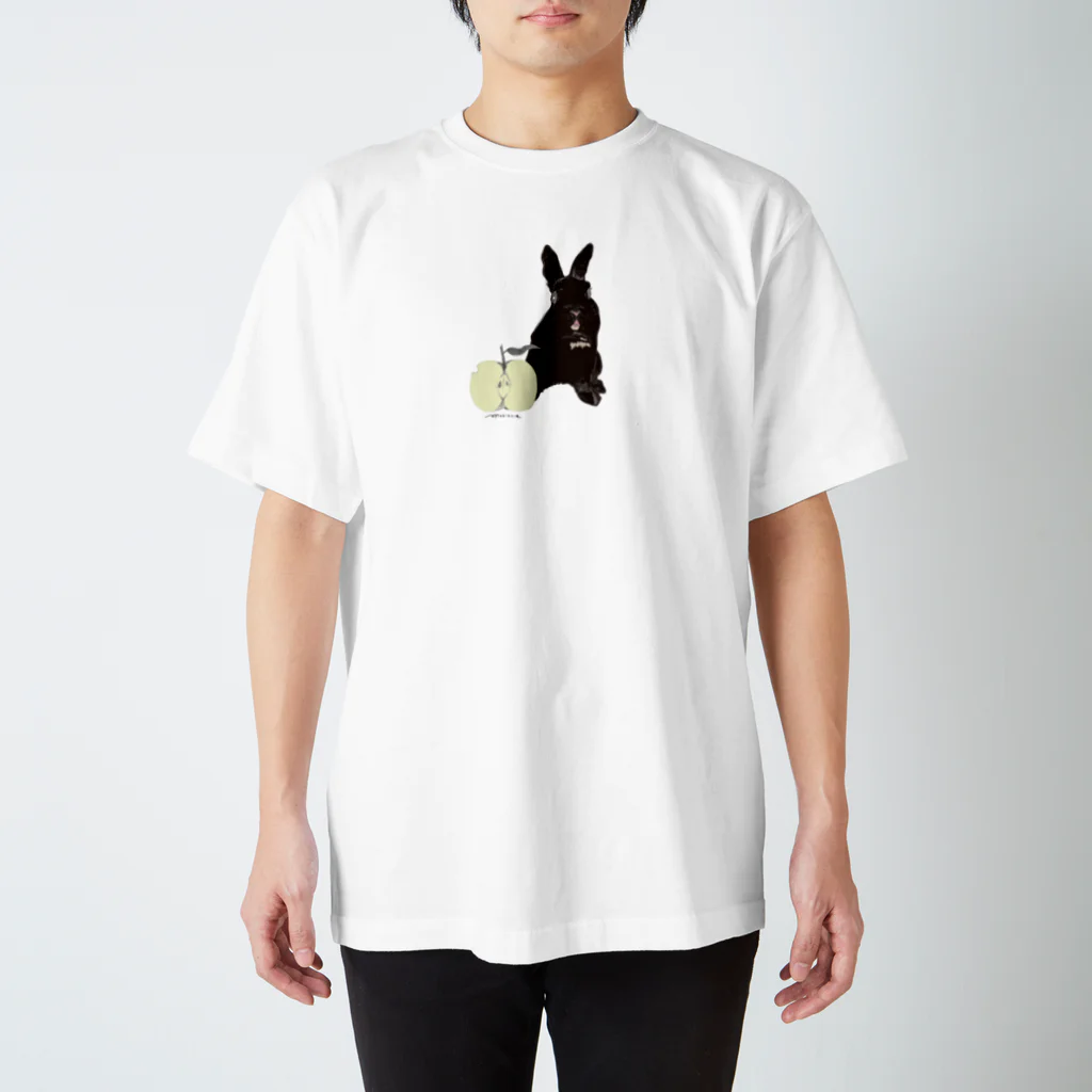 ヒラノマキコの2013.12月うさぎ Regular Fit T-Shirt