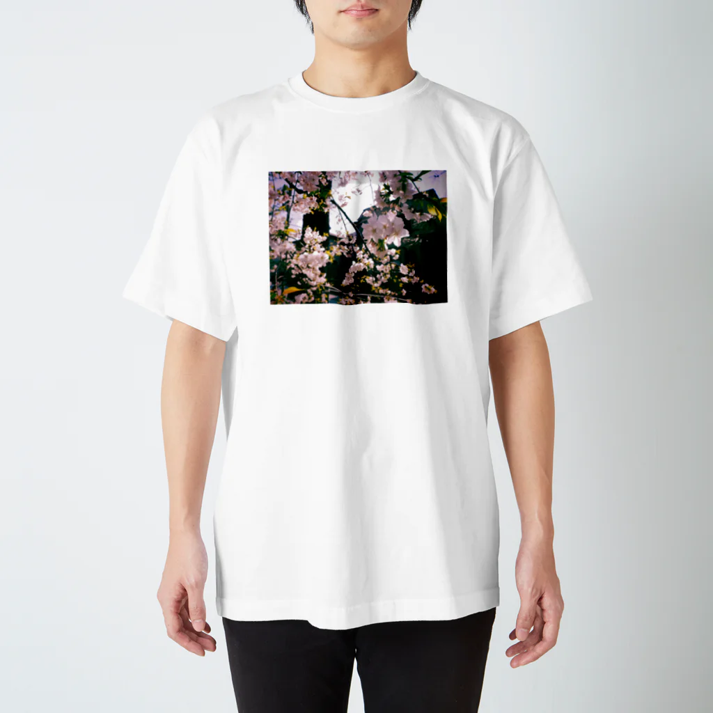 yukiyako_の桜 スタンダードTシャツ