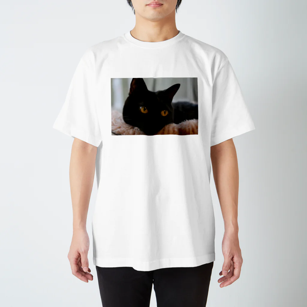 polepole-officeの黒猫ヴィヴィの日向ぼっこ スタンダードTシャツ