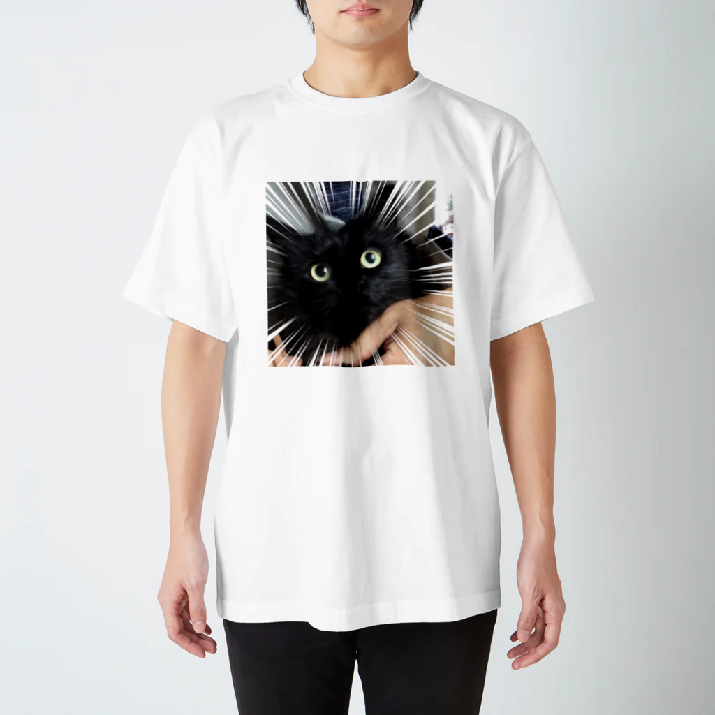 xian_dtmのびっくりねこフェイス Regular Fit T-Shirt