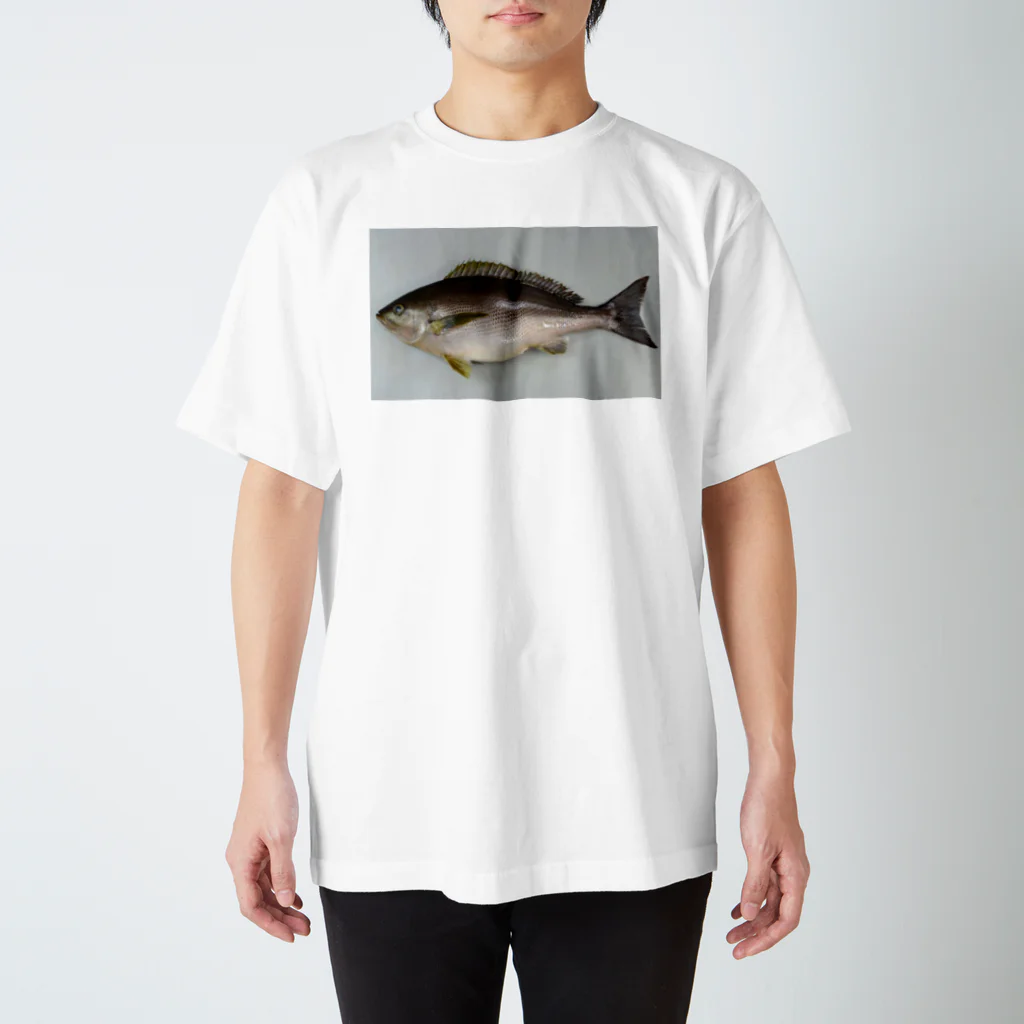 Osaki 사키 おさきのイサキ Regular Fit T-Shirt