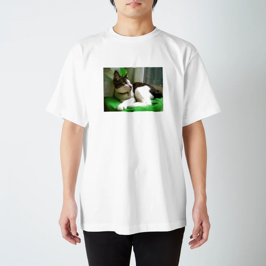 にゃん福堂　猫雑貨のお店のハチワレ猫 ムン Regular Fit T-Shirt