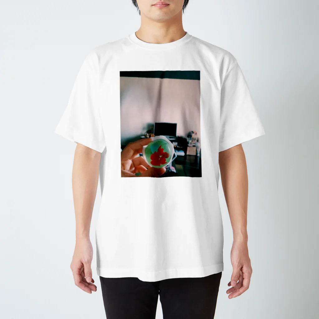 おそねの金魚 Regular Fit T-Shirt