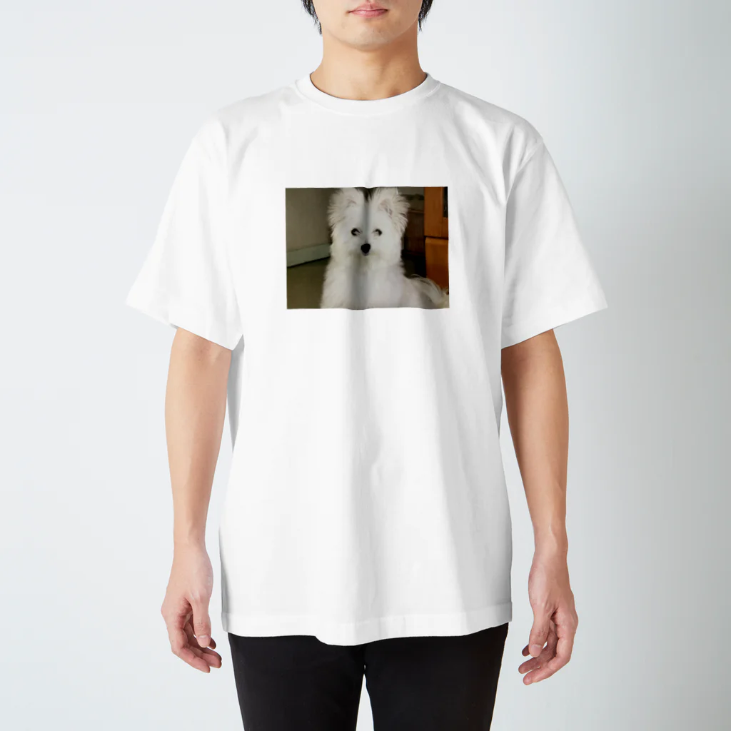 sctcの犬 スタンダードTシャツ