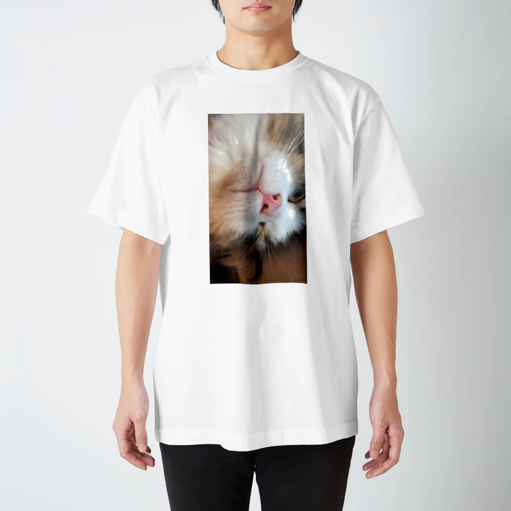 ちぇるの顔面猫 Regular Fit T-Shirt